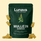 Lunava Mullein Lung Detox & Cleansing Gummies (30 Day Supply)